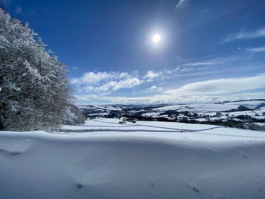Pretty Wood Eyam